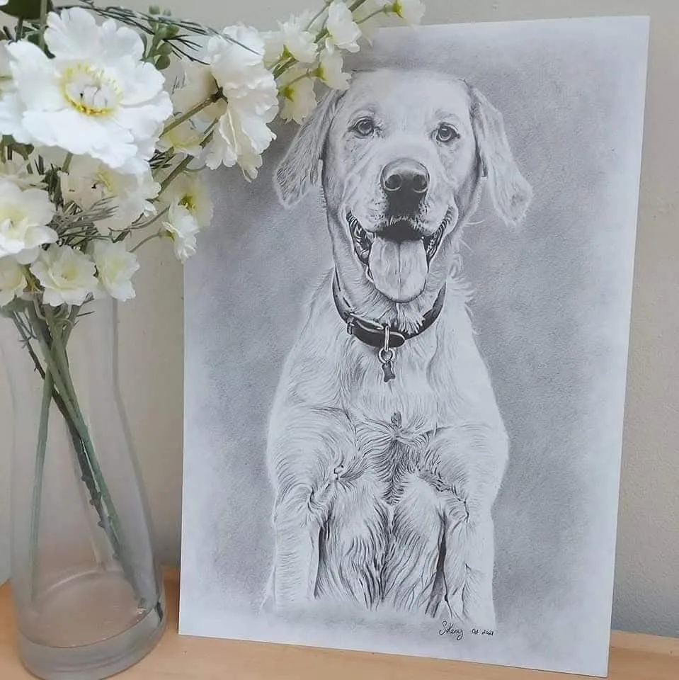 Pencil pet portrait commission of a dog
