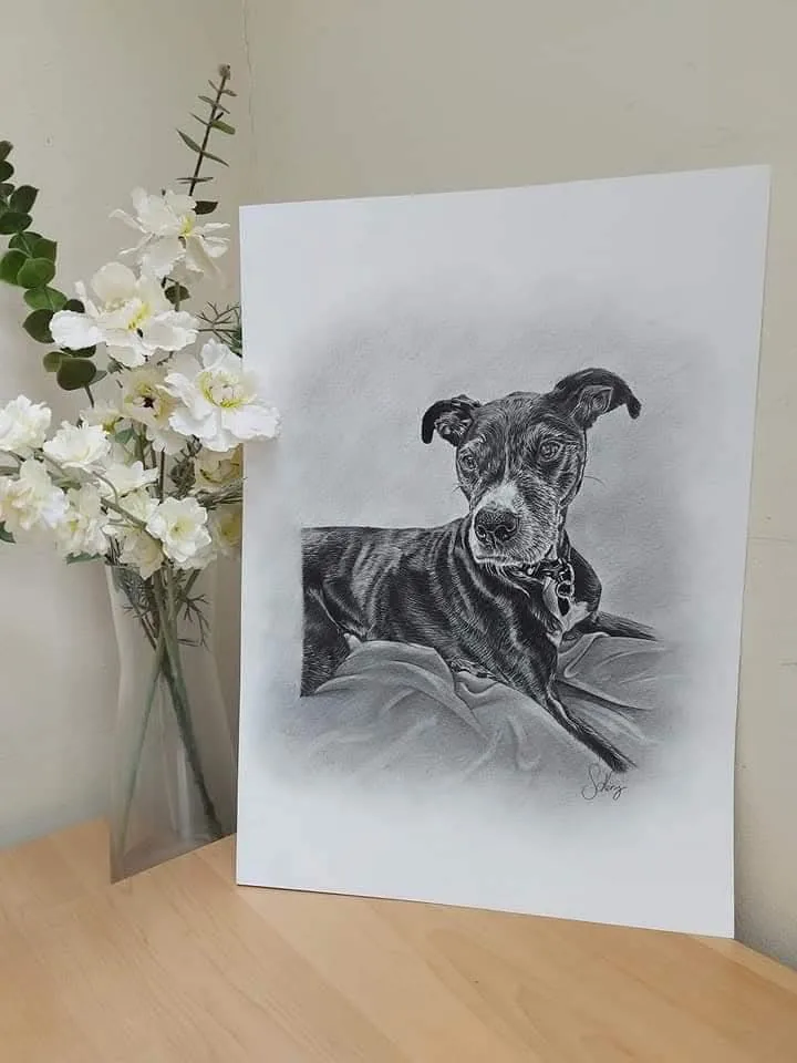 Pencil pet portrait commission of a dog