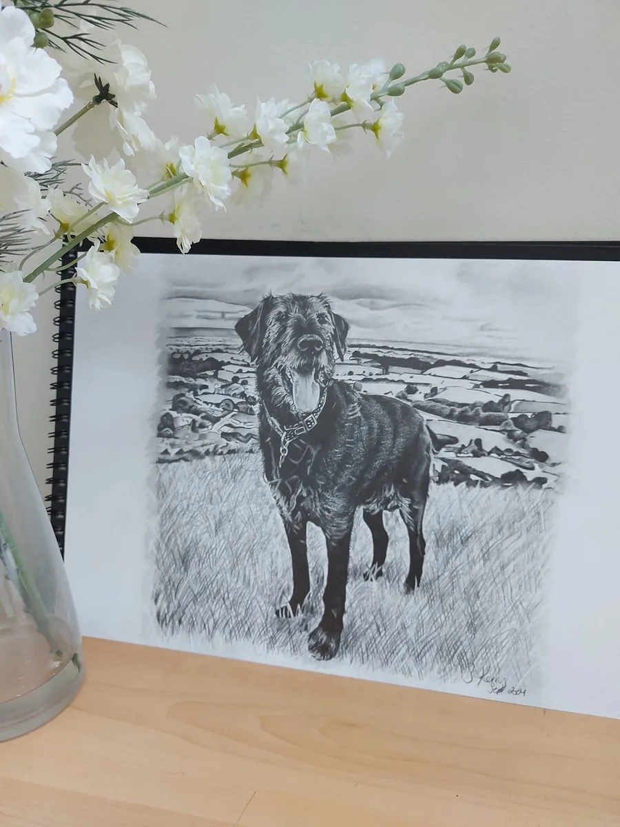 Pencil pet portrait commission of a family dog