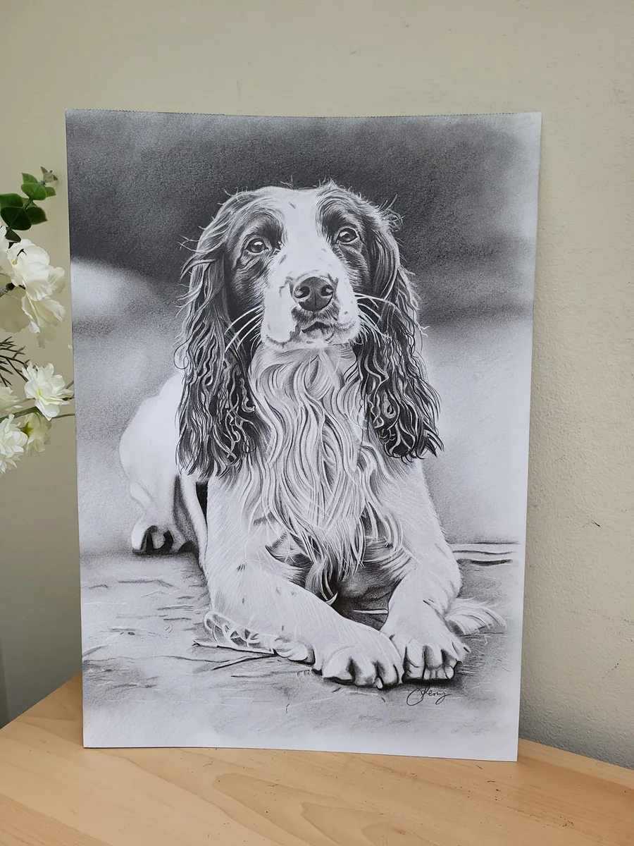 Pencil portrait commission of a family dog